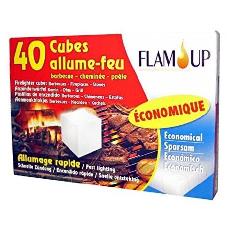 ALLUME FEU 40 CUBES ECONOMIQUES (1/3)