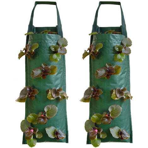 2 Hanging Strawberry Growbag Planters Wall-mounted planting bag vertical three-dimensional multi-port plant bag