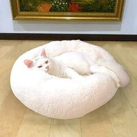 Cat Bed Dog Bed Round Nest for Pet for Cat Oval Cat Donut Nid White Bed Diameter 40cm