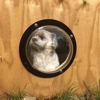 Transparent Acrylic Window Semi-circular Lid Pet Fence Window Closing Window for Cat and Dog (Transparent)