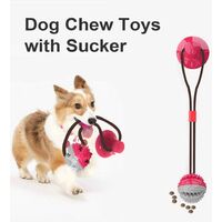Dog Toy with Suction Cup, Pet Chew Toys, Dog Chew Interactive Toys, Cleaning Teeth, Outdoor Beet with Dental Care Function