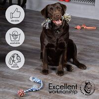 Dog toy, dog toy rope for cleaning teeth and chew, chew toy, interactive toy for dogs, for small and medium dogs (4 pack)