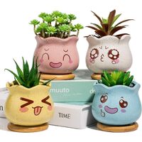 Succulent Plant Pot，4pcs Ceramic Cactus Plant Pot Flower Pot Cute expression succulent pot, artificial plant ceramic pot