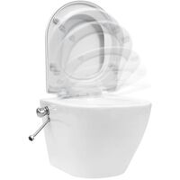 Wall Hung Rimless Toilet with Bidet Function Ceramic White5755-Serial number