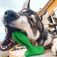 Dog Toys Dog Toothbrush Indestructible Dog Chew Toys For Medium Large Breed Aggressive Chewers Dental Teeth Cleaning Toy (M, Green)