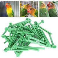 Perrocated perches, good quality bird straps, safe and ecological plastic bird cage accessories for parrot standing standing birds to stand