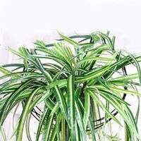 BETTE Artificial Chlorophytum Hanging Plant, Artificial Ivy, Realistic Green Leaves, Wall Hanging, For Home, Garden, Office, Veranda, Wedding Decor