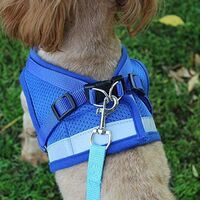 BETTE Reflective Harness, Adjustable Harness, Harness with Leash, Puppy Harness, Cat Harness (Black-L)