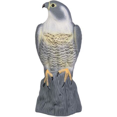 Taubenschreck Falke