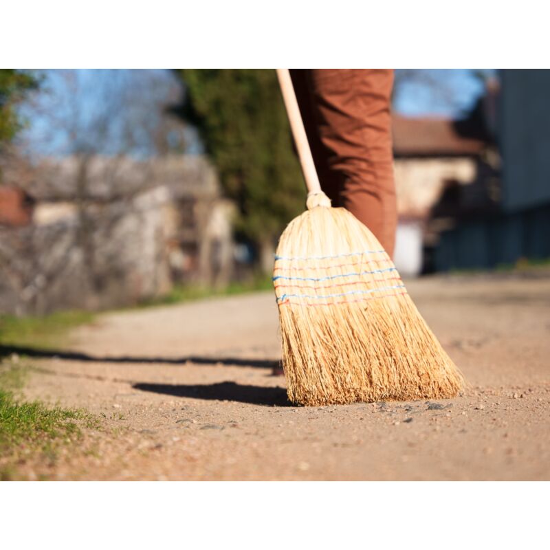 Balayette paille de riz, brosse Sorgho & Bois, Brosses - Botanique Editions