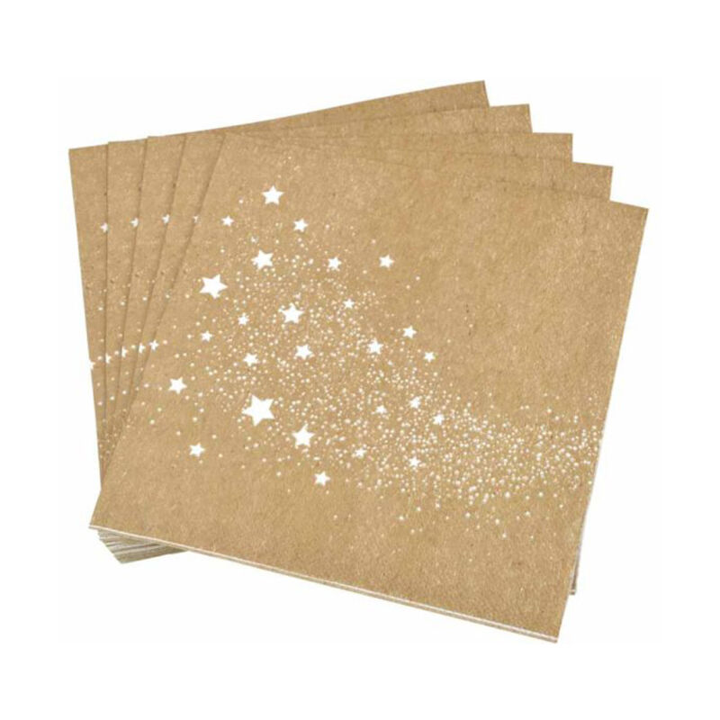 Lot De 20 Serviettes En Papier Raisin 33x33cm - Motif Nature - Multicolore - Jetables - Neuf