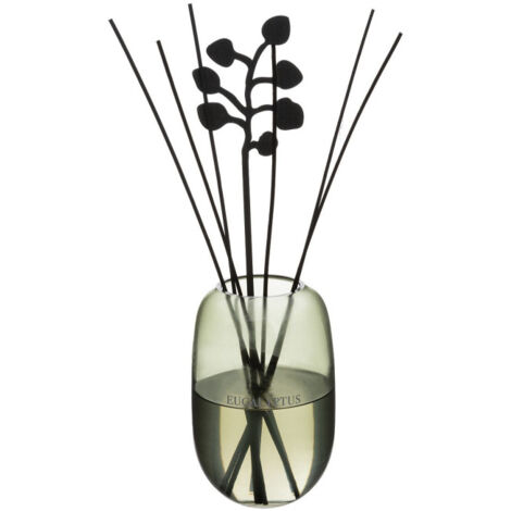 Diffuseur de Parfum "Cosy" 500ml Eucalyptus (1/2)