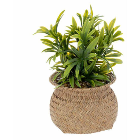 Plante Artificielle en Pot "Jiling" 20cm Beige (1/3)