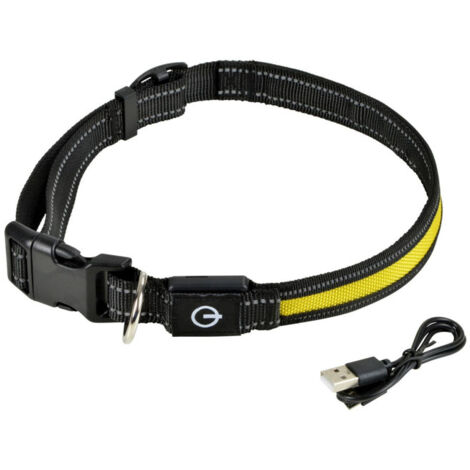 Collier Lumineux Pour Chien "LED" 70cm Jaune (1/5)