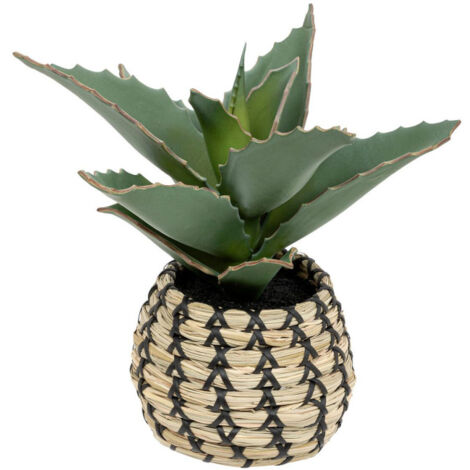 Plante Artificielle Samouraï "Pio" 26cm Naturel (1/3)