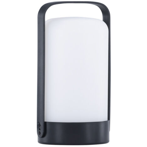 Lampe à Poser d'Extérieur LED "Fern" 22cm Noir (1/5)
