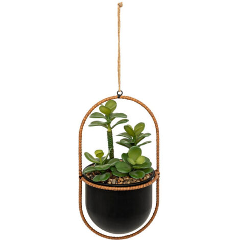 Plante Artificielle Suspendue "Tyla" 31cm Noir (1/2)