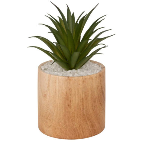 Plante Artificielle en Pot "Sao" 17cm Marron (1/4)