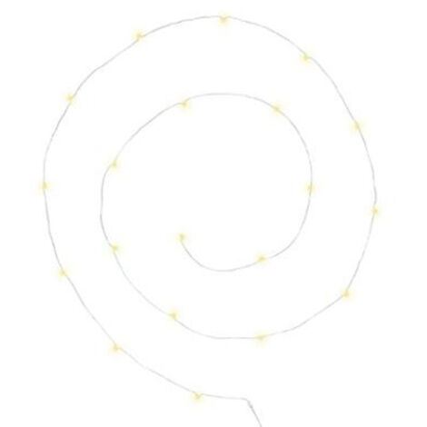 Guirlande Lumineuse "20 Led Blanc Chaud" 215cm Chrome (1/2)