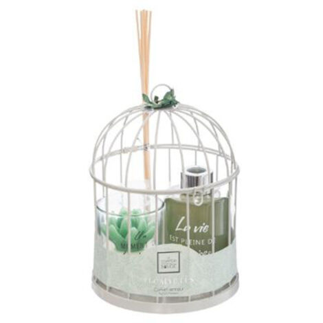 Coffret de Fragrances "Cage" 20cm Eucalyptus (1/5)