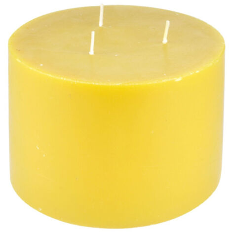 Bougie Déco Parfumée "Trendie" 15cm Miel Sauvage (1/2)