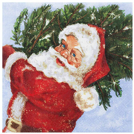 Découvrez Les Serviettes Renova Pour Chaque Occasion