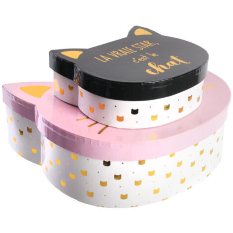 Lot de 2 Boîtes de Rangement "Chat" 25cm Rose (1/4)