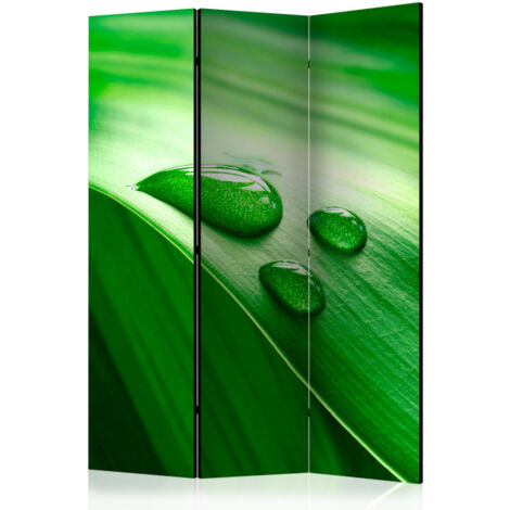 Paravent 3 Volets "Leaf & Three Drops of Water" 135x172cm (1/2)