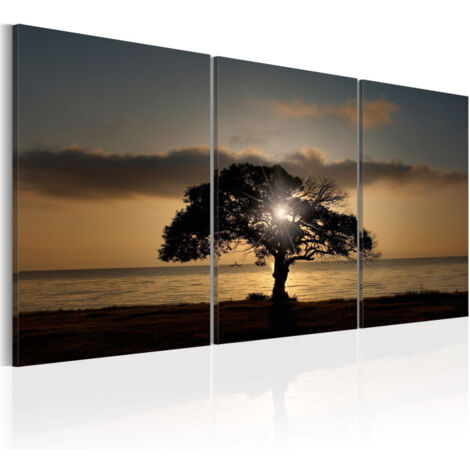 Tableau Imprimé "Extraordinary Nature" 60x120cm (1/2)