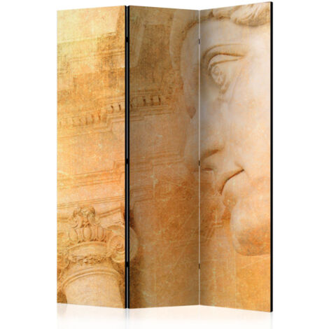 Paravent 3 Volets "Greek God" 135x172cm (1/2)