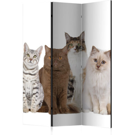Paravent 3 Volets "Sweet Cats" 135x172cm (1/2)