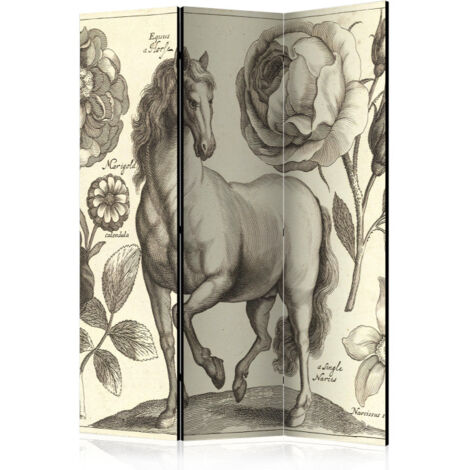 Paravent 3 Volets "Horse" 135x172cm (1/2)