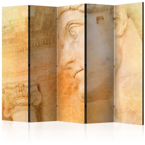 Paravent 5 Volets "Greek God II" 172x225cm (1/2)