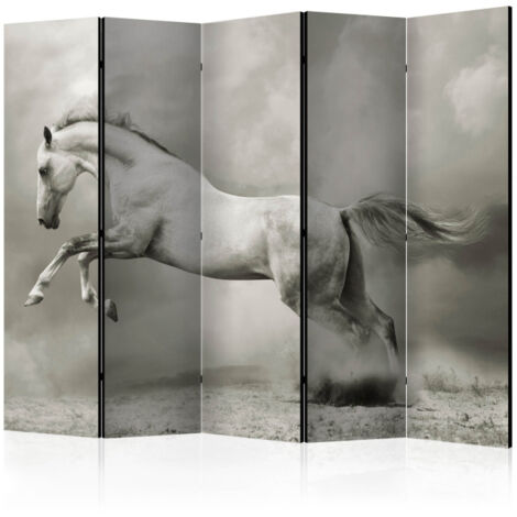 Paravent 5 Volets "Wild Stallion" 172x225cm (1/2)
