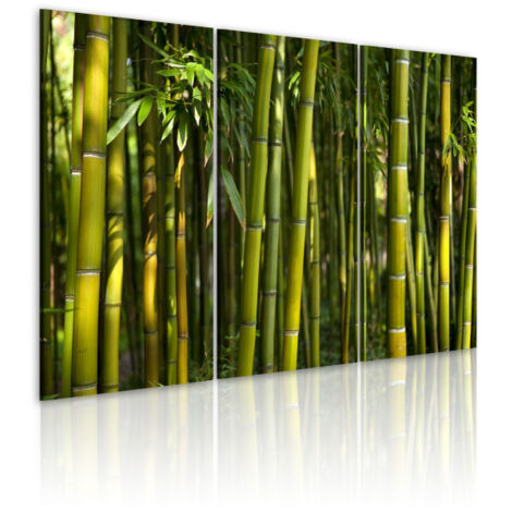 Tableau Imprimé "Bambou & Vert" 40x60cm (1/2)