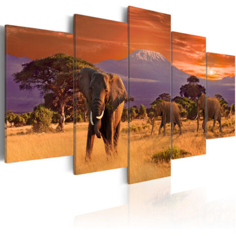Tableau Imprimé "Afrique : éléphants" 50 x 100 cm (1/2)