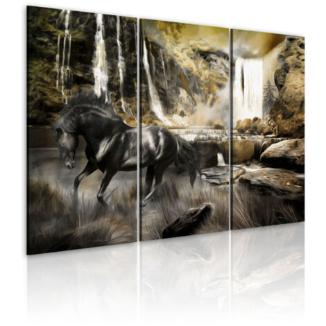Tableau Imprimé "Cheval Noir & Cascade Rocheuse" 80 x 120 cm (1/2)