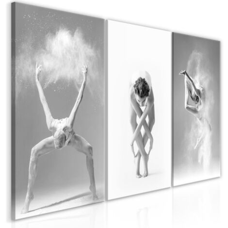 Tableau Imprimé "Ballet Collection" 60 x 120 cm (1/2)