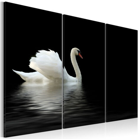 Tableau Imprimé "Cygne Seul" 60 x 90 cm (1/2)