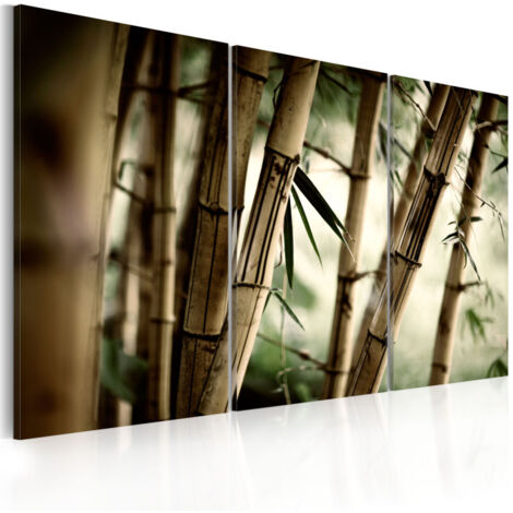 Tableau Imprimé "Forêt Tropicale" 60 x 90 cm (1/2)