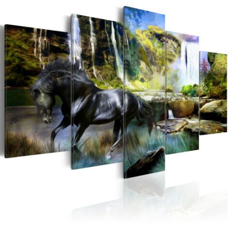 Tableau "Cheval Noir sur Fond de Cascade Paradis" 50 x 100 cm (1/2)