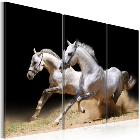 Tableau Imprimé "Chevaux Force & Dynamique" 60 x 90 cm (1/2)