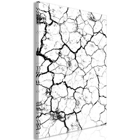 Tableau Imprimé "Cracked Earth" 60 x 90 cm (1/2)