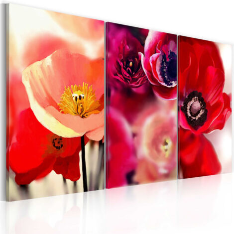 Tableau Imprimé "Coquelicots Trois Perspectives" 60 x 90 cm (1/2)