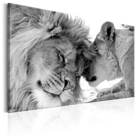 Tableau Imprimé "Lion's Love" 40 x 60 cm (1/2)