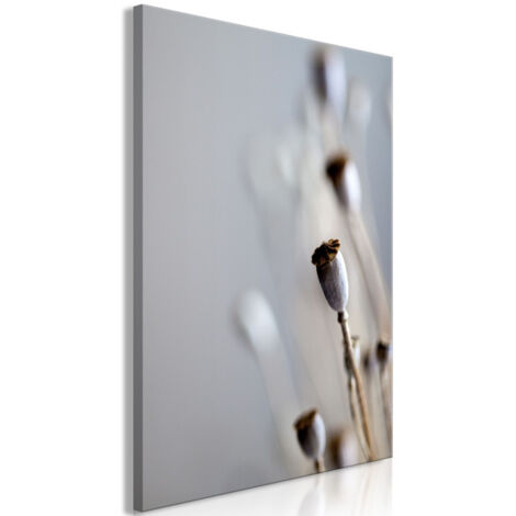 Tableau Imprimé "Dried Poppies" 60 x 90 cm (1/2)