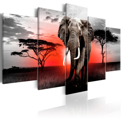 Tableau Imprimé "Lonely Elephant" 50 x 100 cm (1/2)