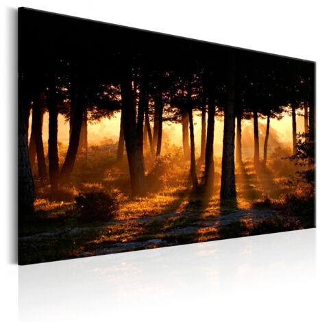 Tableau Imprimé "Forest Dawn" 60 x 90 cm (1/2)