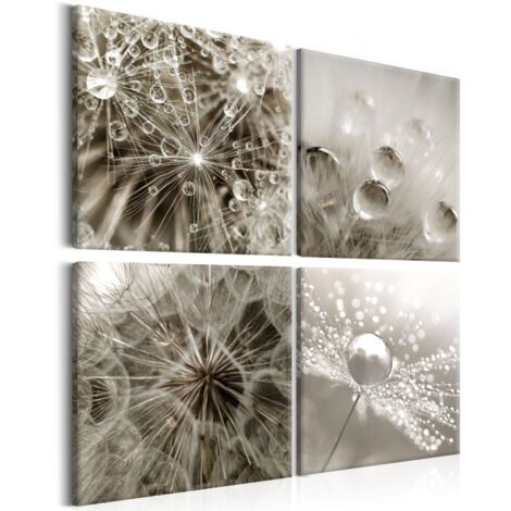 Tableau Imprimé "Grey Dandelion" 40 x 40 cm (1/2)