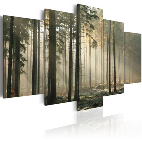 Tableau Imprimé "Lumière dans une Sombre Forêt" 50 x 100 cm (1/2)